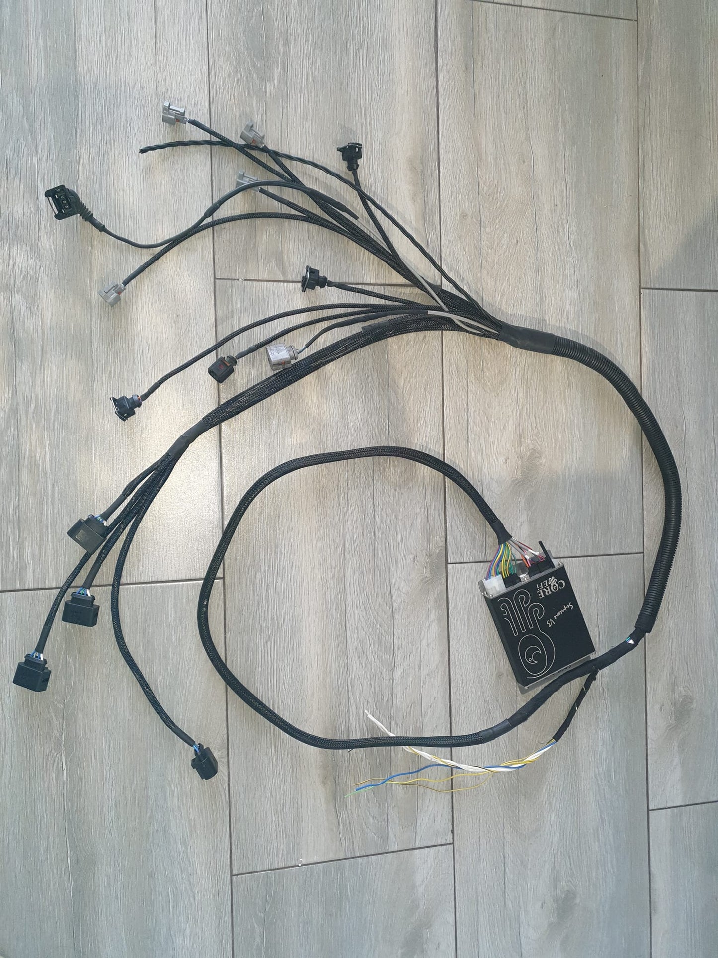 Plug and play harness - Standalone - 6 Cyl (Made to Order)